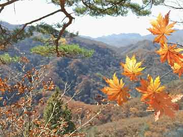 春节前夕金价飙升，变现72万仍喊后悔！